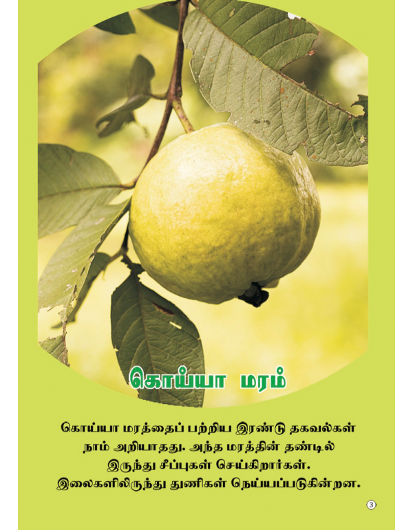 Marangal Pathu