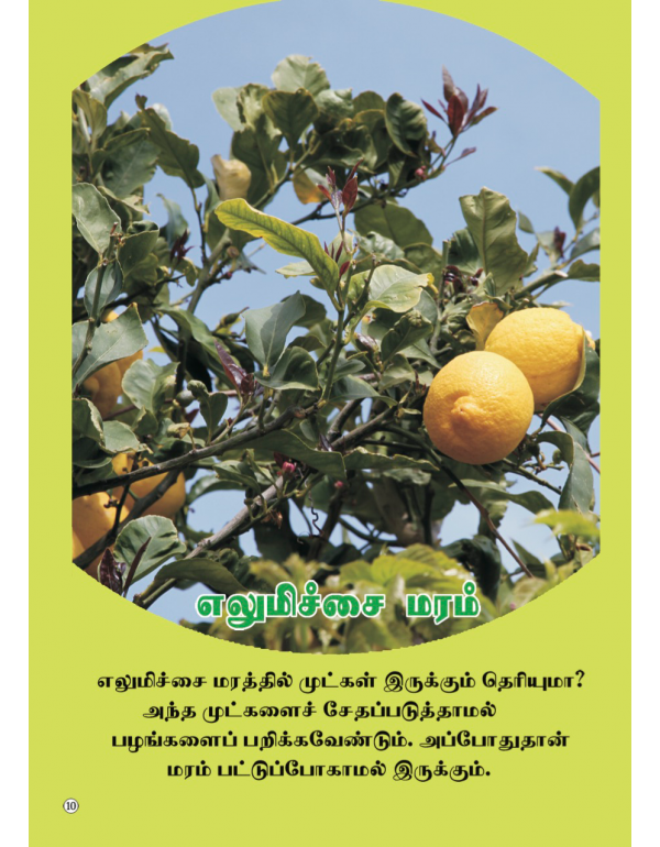 Marangal Pathu