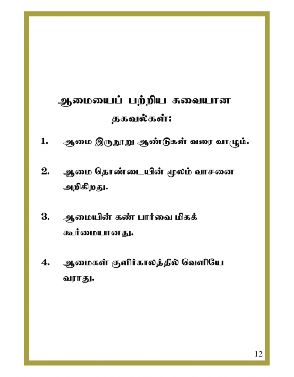 Pokki Aamai